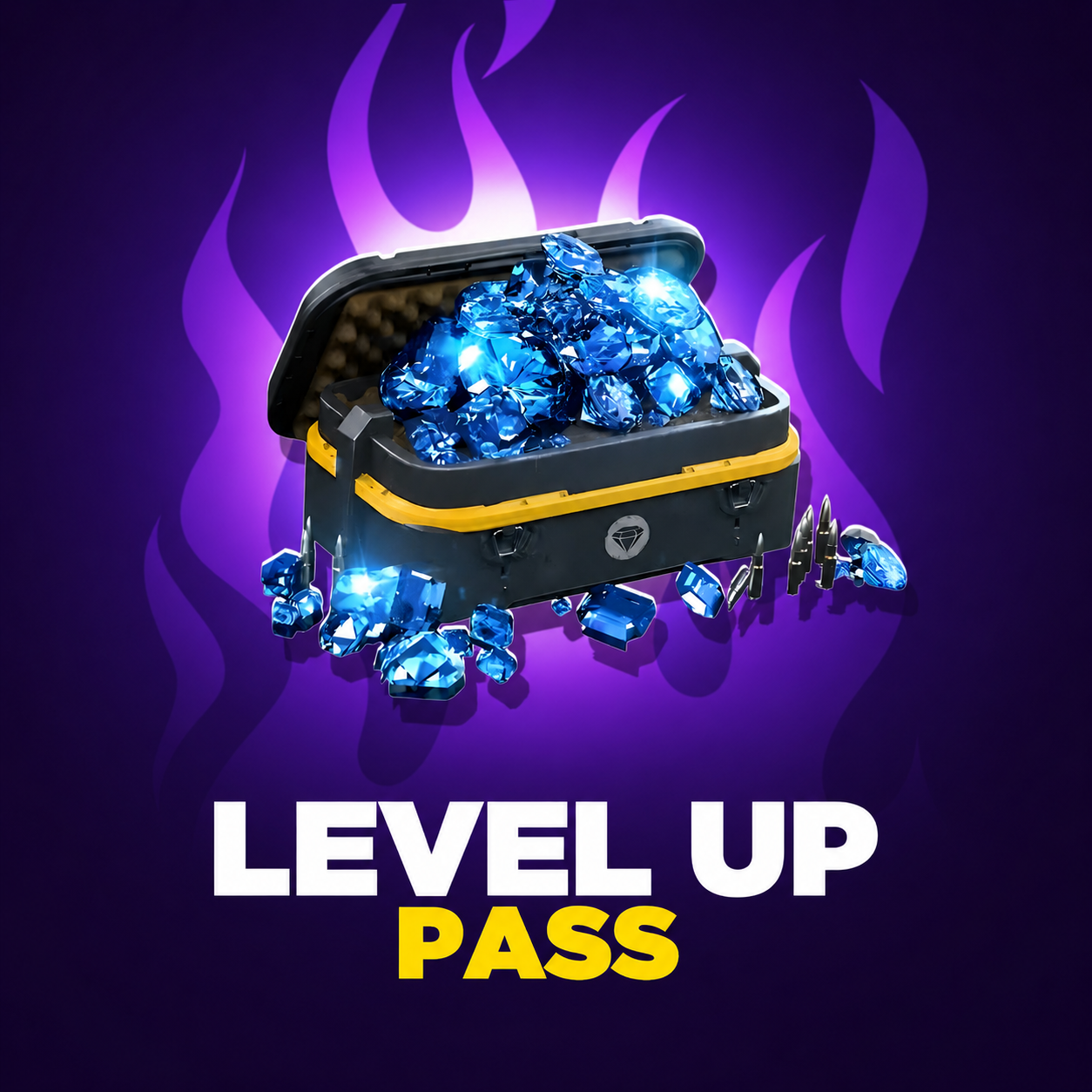 LEVEL UP PASS